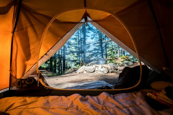 Quels sont les conseils pour un camping en forêt de conifères en hiver?